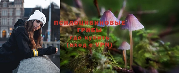 PSILOCYBIN Белокуриха